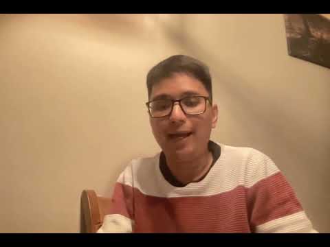 STRAY COMMUNITY CATS,part 3