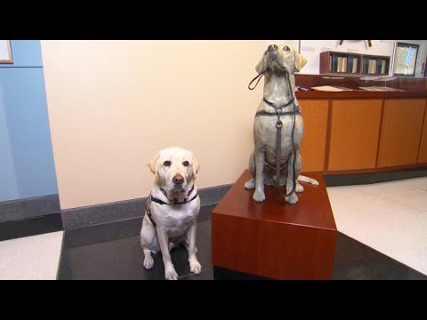 Sully the Service Dog Honored With Statue