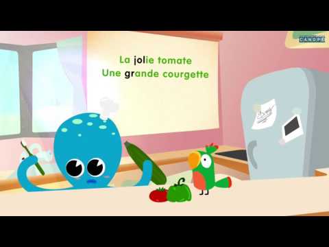 O3. Les accords dans le groupe nominal