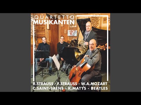 Andante per Corno e Pianoforte, TrV 155