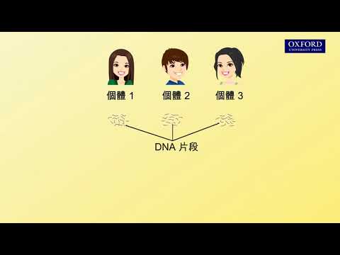 動畫E4, 1.6 DNA 指紋分析