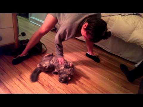 Brenna Spins Her Cat