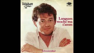 Wolfgang Ambros - Langsam woch's ma z'amm