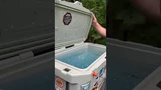 Quick Tip Cooler Smell Fix! #shorts #cooler #camping #stinky #clean #cleaninghacks
