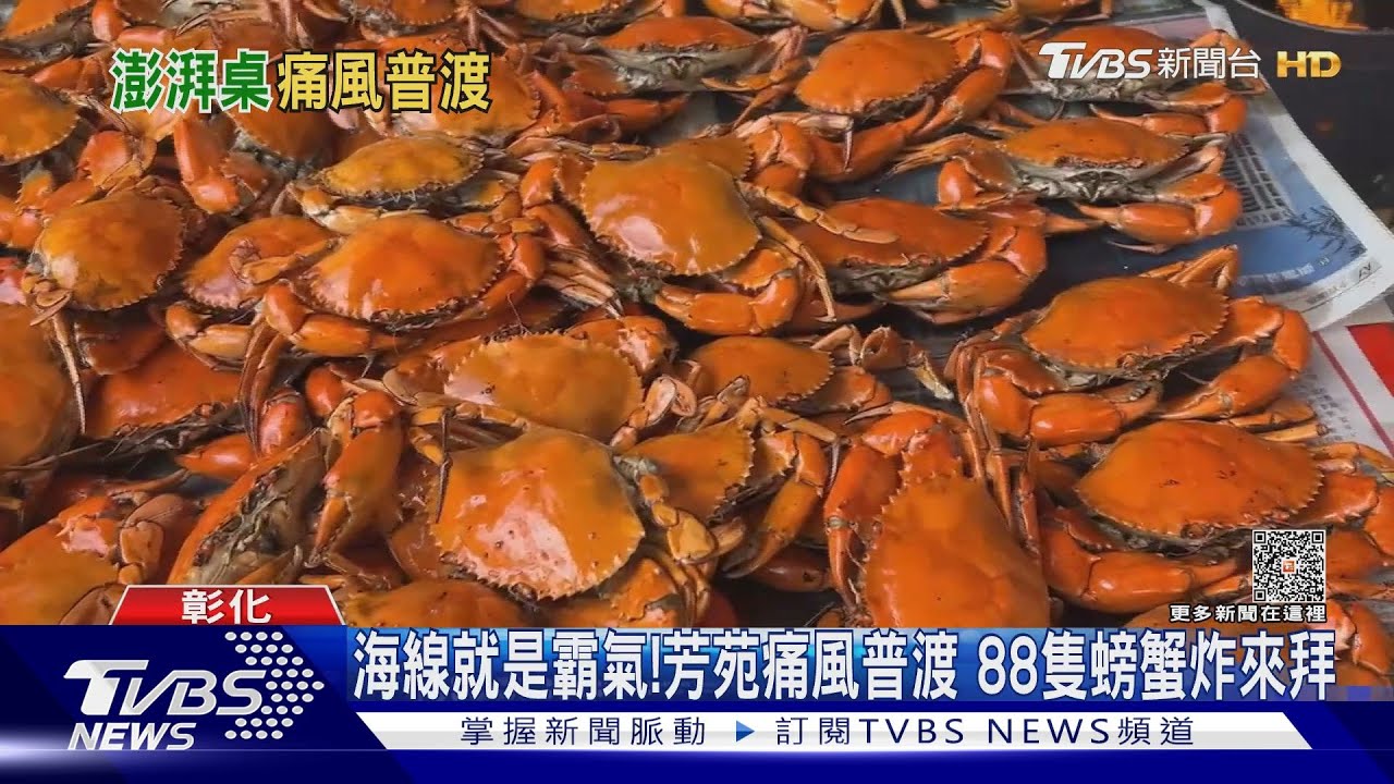 海線就是霸氣!芳苑痛風普渡 88隻螃蟹炸來拜