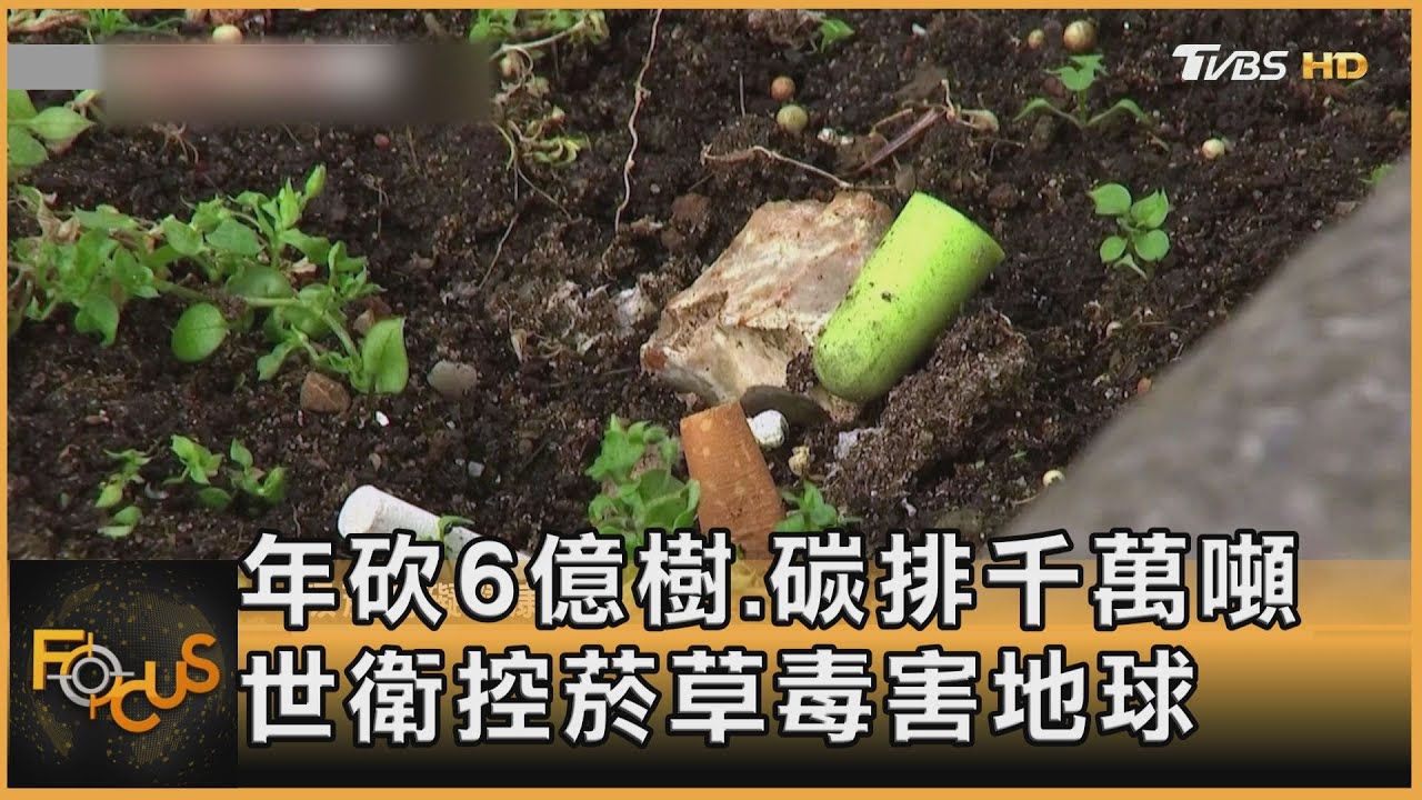 年砍6億樹、碳排千萬噸 世衛控菸草業毒害地球