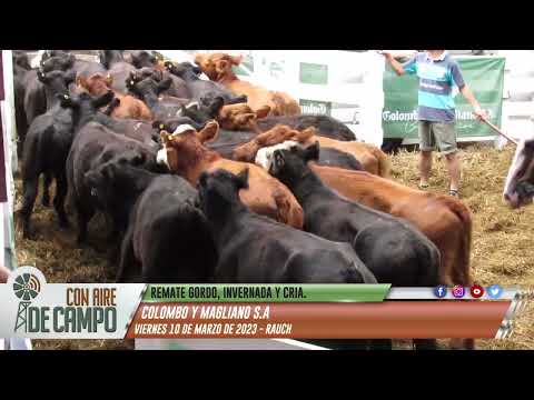 Resumen del remate de Colombo y Magliano - Viernes 10 de marzo de 2023 - Rauch