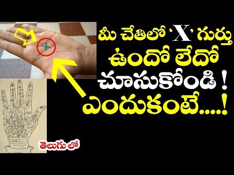 Hasta Samudrika Shastra Book In Telugu