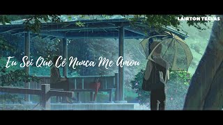 Eu Sei Que Cê Nunca Me Amou Lyrics English Translation