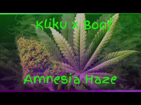 Kliku & Boof "Amnesia Haze"