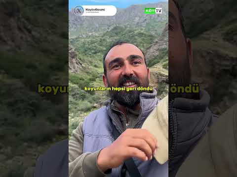 Çobanlığı Ustadan Öğrenirsin! #çoban #hayvancılık #köy