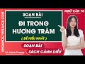 Soạn bài Đi trong hương tràm Ngữ văn 10 Cánh diều