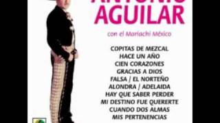 Antonio Aguilar, Mi Destino Fue Quererte.wmv