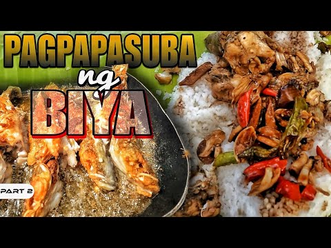 EP1000-P2 - Pagpapasuba ng Biya