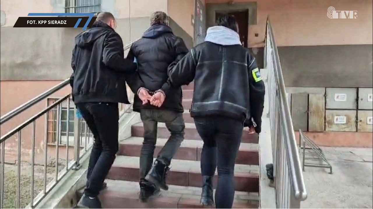 Znęcał się nad swoją partnerką, zabił jej psa. 37-latek jest już za kratkami