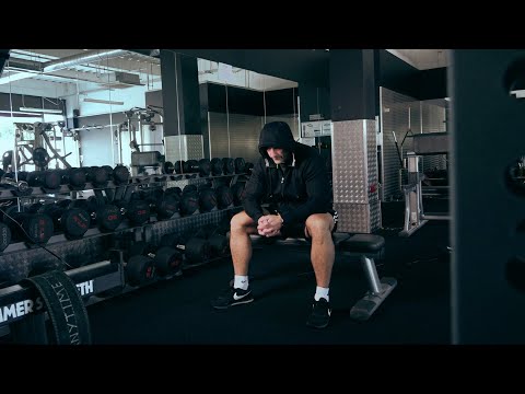 ScreenLight Video video.