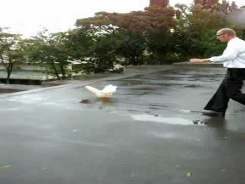 Uwe Schloen - Odessa