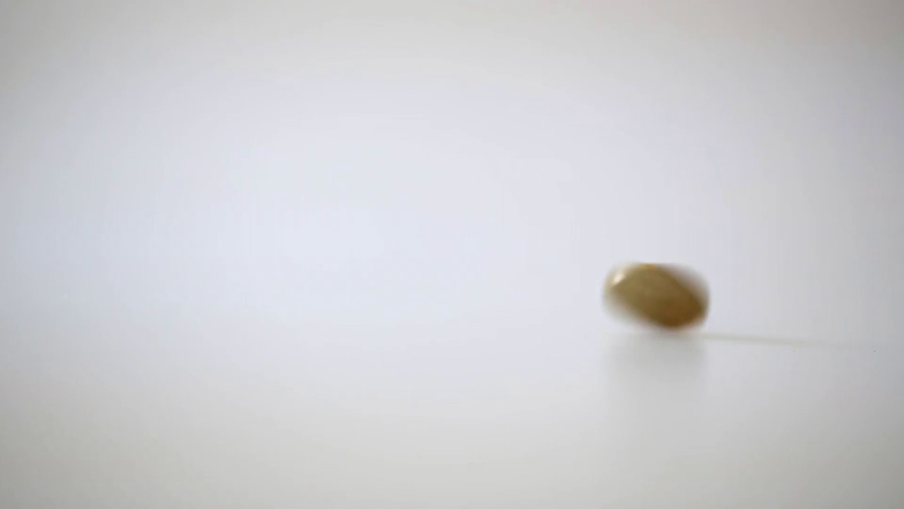 Head or Tails Windows Animated Wallpaper