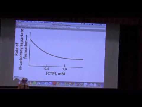 Allostery and Regulation I