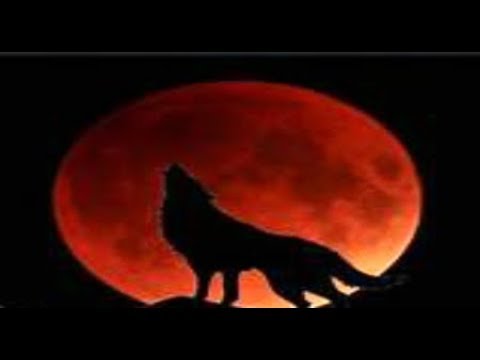 Super Blood Wolf Moon Total Lunar Eclipse signs in the Heavens January 20 - 21 2019 Video