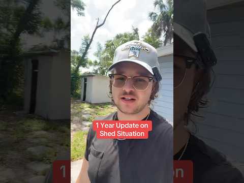 Update on Viral Time Travel Shed Story From Last Year