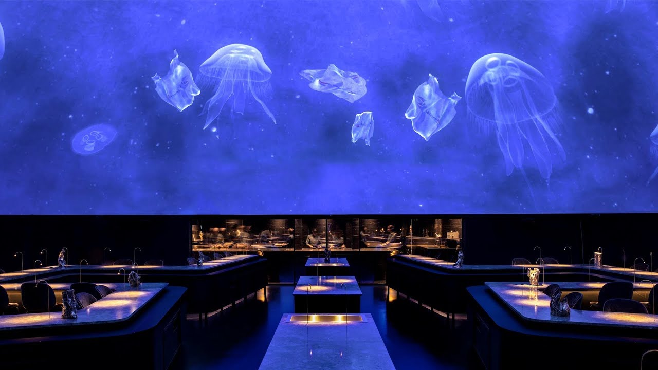 Alchemist in Refshaleøen