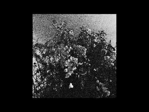 Celestial Sword / Trhä (US) — Edënohhdlha hálgra tu majtranlh'ha/Ga nëcëcta mon idlhi — 2021 split