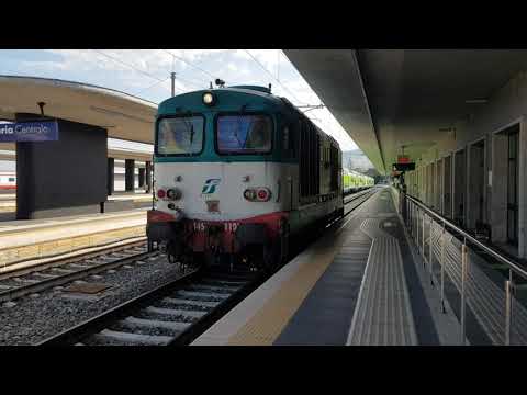 Treno Locomotore D445 1101 Lis 77832 Reggio di Calabria Centrale-Catanzaro Lido