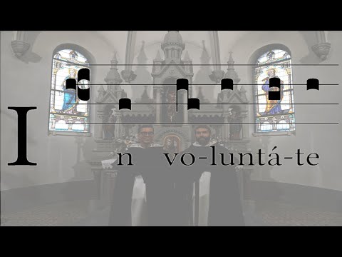 In voluntate tua O.P. (Dominica XXVII Tempus per Annum)