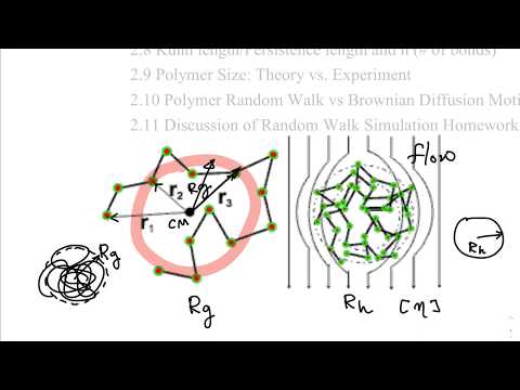 2.3 Radius of Gyration of Polymers