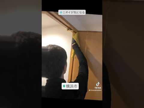 きれいな金属製テラス手すり鳥の糞