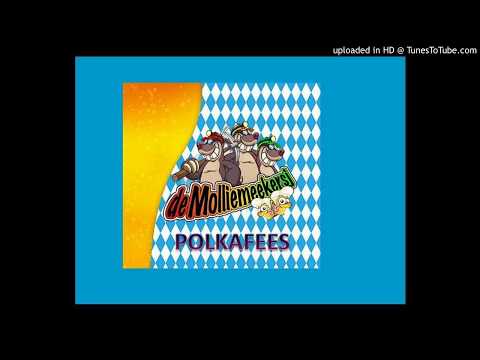 De Molliemeekersj - Polkafees!