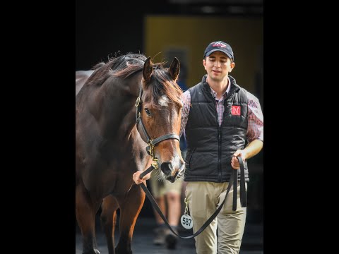 2022 Magic Millions GC National Broodmare Sale - Lot 587