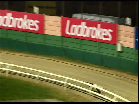 Saturday 4 February 2023 Trial 3 - Springside Ellen