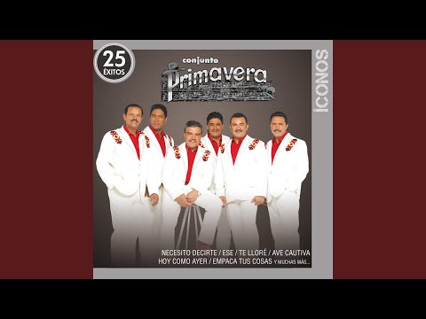 download lagu mp3 mp4 Conjunto Primavera Songs Algo De Mi, download lagu Conjunto Primavera Songs Algo De Mi gratis, unduh video klip Conjunto Primavera Songs Algo De Mi