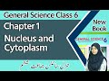 Class 6 Science Chapter 1 Nucleus And Cytoplasm 6th Class General Science Chapter 1