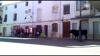 preview picture of video 'Cogida de Toro la Feria 2012 *** de Riopar***'