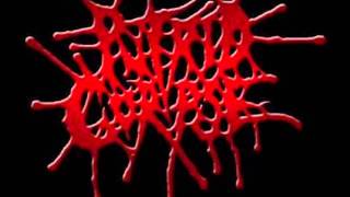 Putrid Corpse - Gruesome Obscenities of The Wretched Butcher