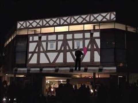 Mimikry und Mimese - Tarnen und Täuschen im Großstadtjungel