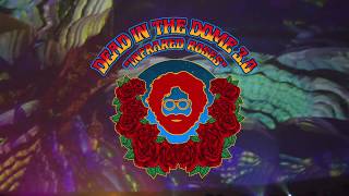 Dead in the Dome 3.0: Infrared Roses ft. Steve Kimock, George Porter, Bob Bralove, Tom Constanten