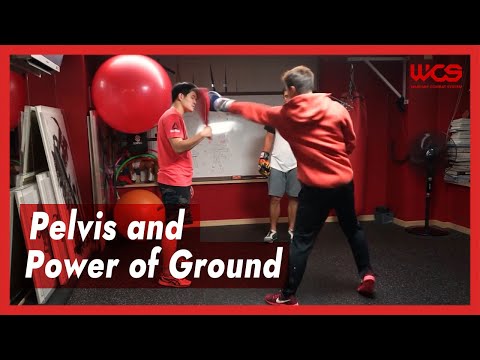 Pelvis and Power of Ground - DK Yoo