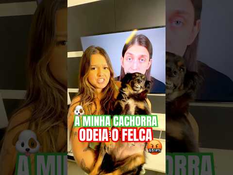 MINHA CACHORRA ODEIA O FELCA😡😂 #shorts  - Galipex