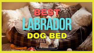 🔥 Best Dog Bed for Labrador in 2024 ☑️ TOP 5 ☑️
