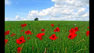 Blue Skies and Rainbows