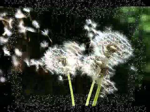 Nesrin ft.Alessio-Unsere Zeit