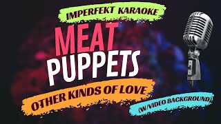 Meat Puppets karaoke - Other Kinds Of Love (w/video background)