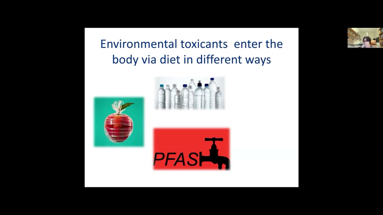 Environmental Epigenetics Implications from Health and Disease to Evolution