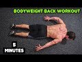 Intense 5 Minute At Home Back Workout #2