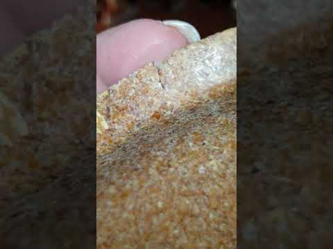 beeco STORE Einwegteller 10 St - Bio Einweggeschirr Ø24 cm aus Weizenkleie, Nicht schlecht