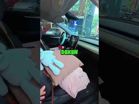 Lekker Slapen In Je Auto!